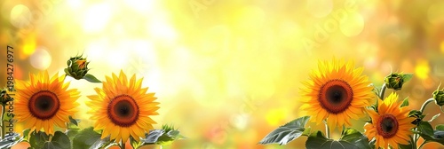 Majestic sunflowers in a vibrant field under a golden sunset, radiating warmth and positivity.