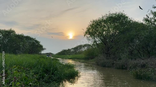 River cruise during sunset. Beautiful scenery of greens, bush and flying birds.