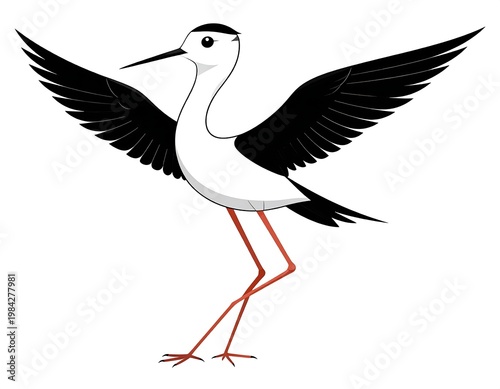 Bird with black wings, long beak, and pink legs spreads its wings