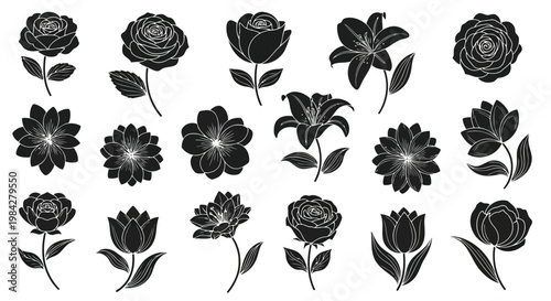 Adobe Illustrator Artwork