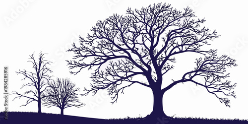 Minimalist winter tree silhouettes without leaves on white background with silhouette background woodland landscape minimalist deciduous outdoors illustration isolated