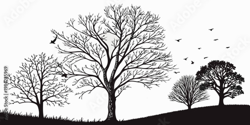 Silhouette illustration of deciduous trees in late autumn with birds flying across a clear sky tree line silhouette landscape illustration background seasonal branches