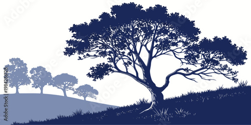 Dark blue silhouette landscape of a majestic spreading tree on a rolling grassy hill at dusk with tree line silhouette landscape outdoors illustration background environment