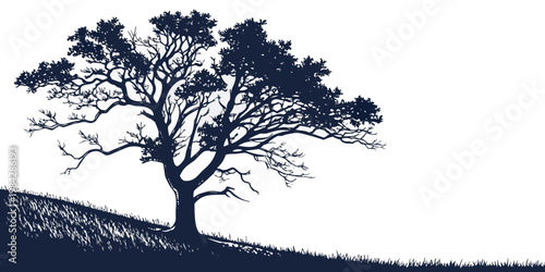 Silhouette of a mature tree on a sloping grassy hill with black and white silhouette branches botanical outdoors isolated minimalist environment artistic landscape