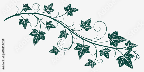 Decorative ivy branch with leaves and swirls vector graphic black and white decoration ornament botanical decorative illustration isolated stylized traditional whimsical