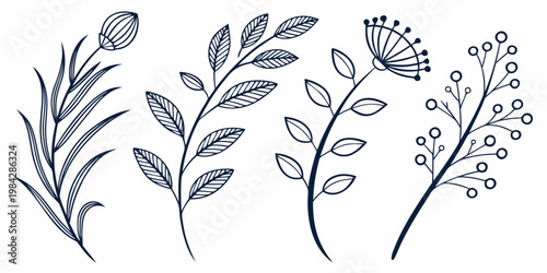 Group of four delicate botanical line art elements with leaves and buds graphic resource botanical illustration plant illustration leaf illustration nature illustration