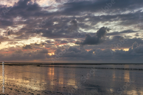 Dramatic sunset over the Wadden Sea coast with coastal vegetation and golden reflections, North Sea, Germany