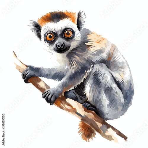 Andasibe-Mantadia NP. Andasibe-Mantadia NP hand drawn watercolor illustration on white background