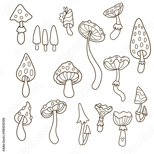 Cute autumn mushroom line art vector. Doodle Illustration. Hand-drawn sketch hand-drawn for stickers, icons, coloring book