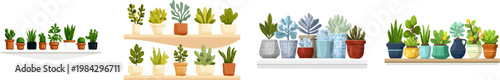 A minimalist flat vector illustration showcases an array of diverse potted plants in geometric ceramic pots, arranged neatly on a shelf with a clean, serene aesthetic