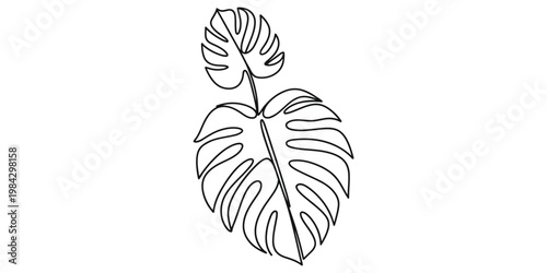 Monstera leaf continuous line drawing