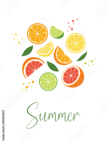 Citrus slice summer card. Grapefruit, orange, limone, lime