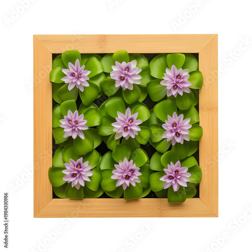 Water Lilies, Green Leaves, Pink Flowers, Wooden Frame, Floral Arrangement