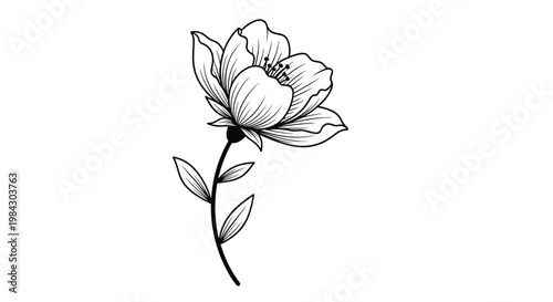 Elegant black and white line art illustration of a single delicate flower bloom with stem, perfect for spring decoration or botanical design.