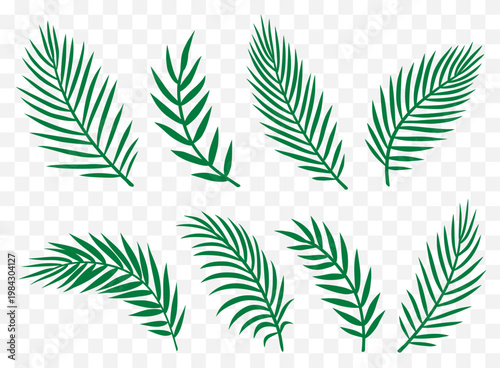 Green palm tropical set palm leaves and branches