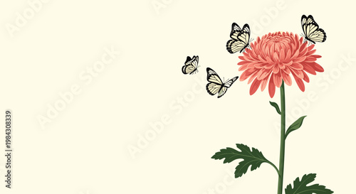 Beautiful pink chrysanthemum flower with several butterflies flying around it on a soft light background. Delicate floral illustration for spring and summer themes.
