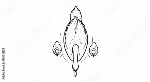 Overhead view of a swan leading two cygnets in water