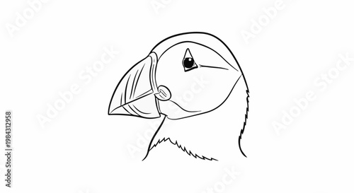 Outline illustration of a puffin's head featuring a large, colorful beak and distinct markings