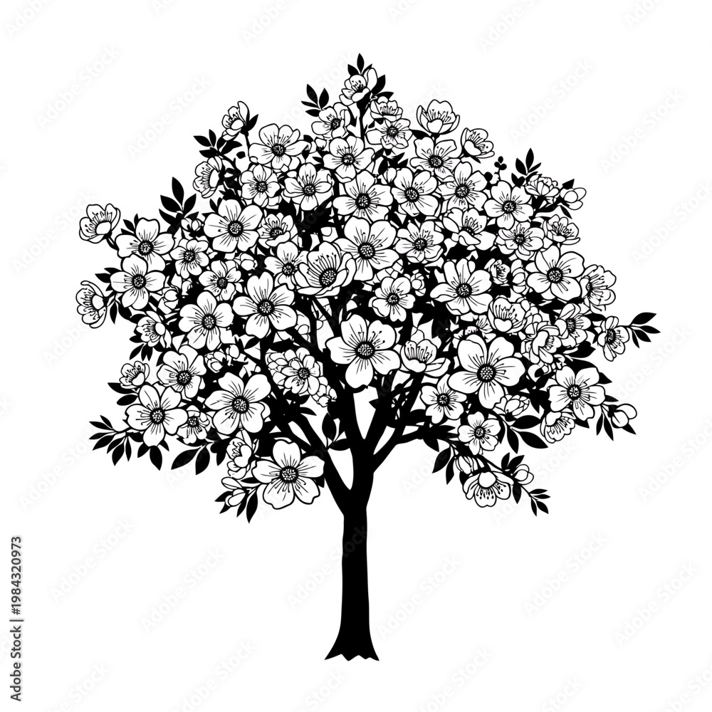 Fototapeta premium Detailed vector illustration of flowering tree with abundant blossoms and leaves