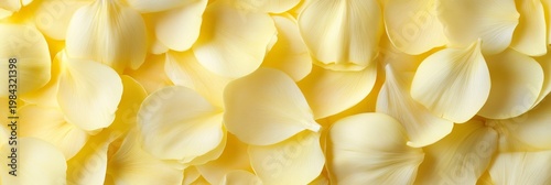 A Breathtaking Floral Arrangement Featuring Delicate Yellow Petals Under Soft, Dreamy Lighting