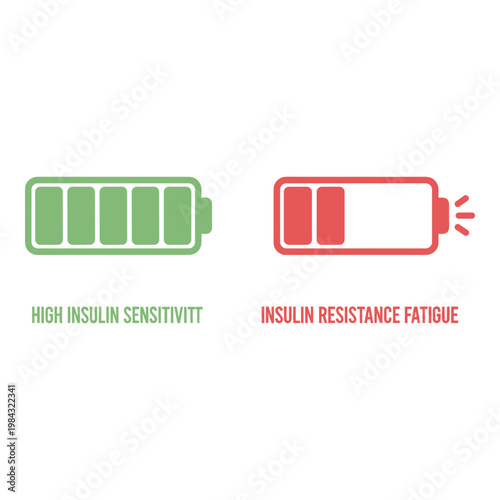 Visual comparison of high insulin sensitivity versus insulin resistance fatigue Vector, illustration