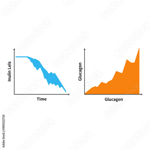 Graphs showing insulin levels over time and glucagon response correlation Vector, illustration