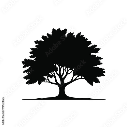 A black silhouette of a tree against a white background