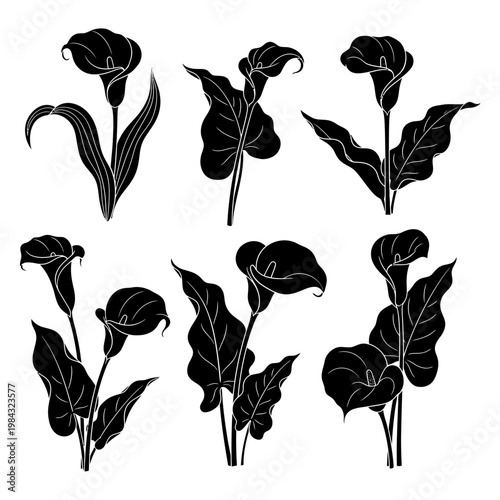 Black calla lily silhouettes, floral icons, botanical illustrations, vector graphics