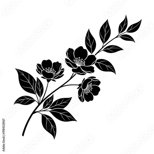 Floral Branch with Blooming Flowers Vector Drawing


