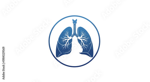 Human Lung Anatomy Medical Illustration.