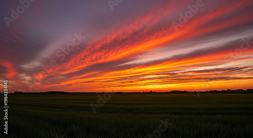 A serene landscape of a green field under a vibrant orange and purple sunset sky