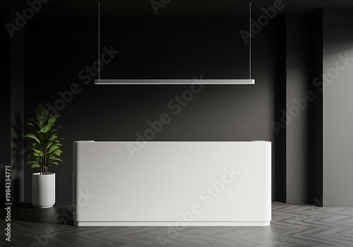 Monochrome Reception: Shadow and Light