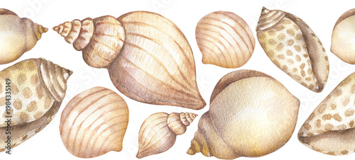 Watercolor Seashells Seamless Border Illustration, marine life object repeating pattern