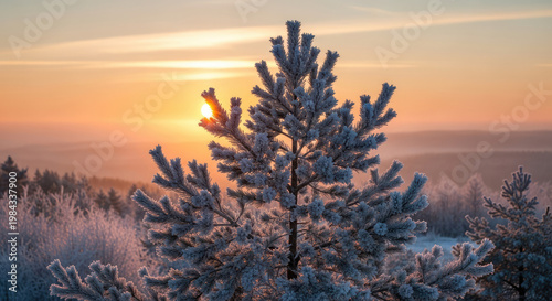 A frosty pine tree stands tall in a snowy landscape during a serene winter sunset