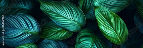 Lush Tropical Foliage Arrangement Featuring Exotic Leaves and Vibrant Nature Background Design