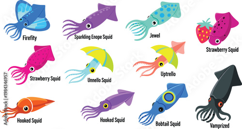 Squid species and colorful cephalopod marine life flat icon set