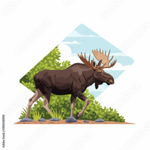 Vector illustration of a male bull moose with large palmated antlers walking through green bushes and over rocks, set against a blue sky with clouds in a diamond frame.