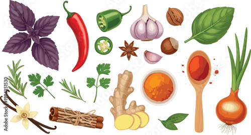 Herbs and Spices Collection with Chili Garlic Ginger Basil Vanilla Cinnamon and Onion Cooking Ingredients Flat Vector Illustration Set