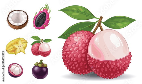 Tropical fruit collection featuring dragon fruit coconut mangosteen starfruit lychee illustration set