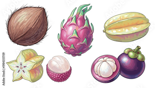 Tropical fruit collection featuring dragon fruit coconut mangosteen starfruit lychee illustration set