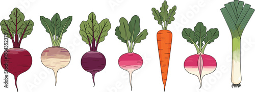 Root Vegetables Collection with Beetroot Turnip Carrot Radish and Leek Fresh Organic Farming Produce Flat Vector Illustration Set