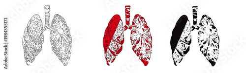 liver icon vcactor