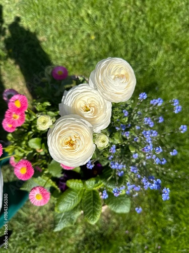 White roses in the garden flowers live bouquet closeup macro