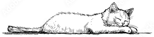 Sleeping kitten vector illustration, Hand drawn cute cat napping on white background, Vintage style feline pet sketch