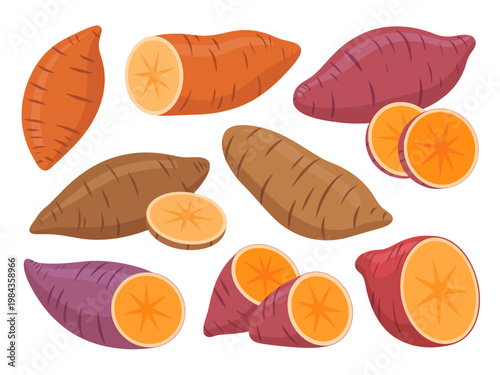 Quadro su tela Collection of whole and sliced sweet potatoes in various colors, flat cartoon st