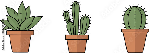 Three colorful potted cactus and succulent plants flat design cartoon illustration set