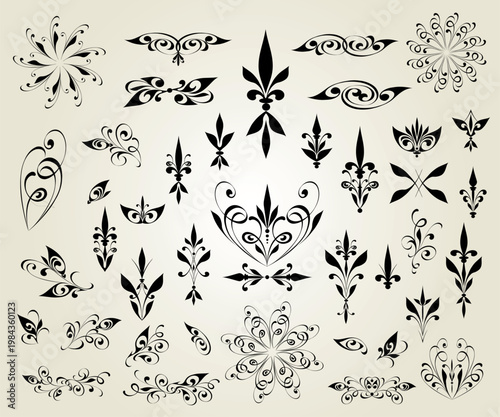 6550.eps   set of floral design elements