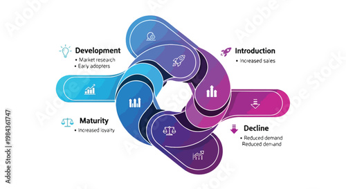 Product life cycle infographic vector, business development and maturity stages diagram, circular process flow with introduction and decline phases