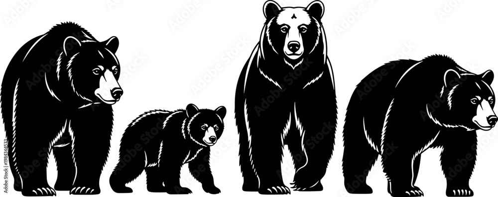 Fototapeta premium Black bear illustrations set with different poses realistic wildlife animal silhouettes detailed forest creature collection for design use