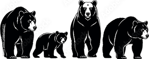 Black bear illustrations set with different poses realistic wildlife animal silhouettes detailed forest creature collection for design use